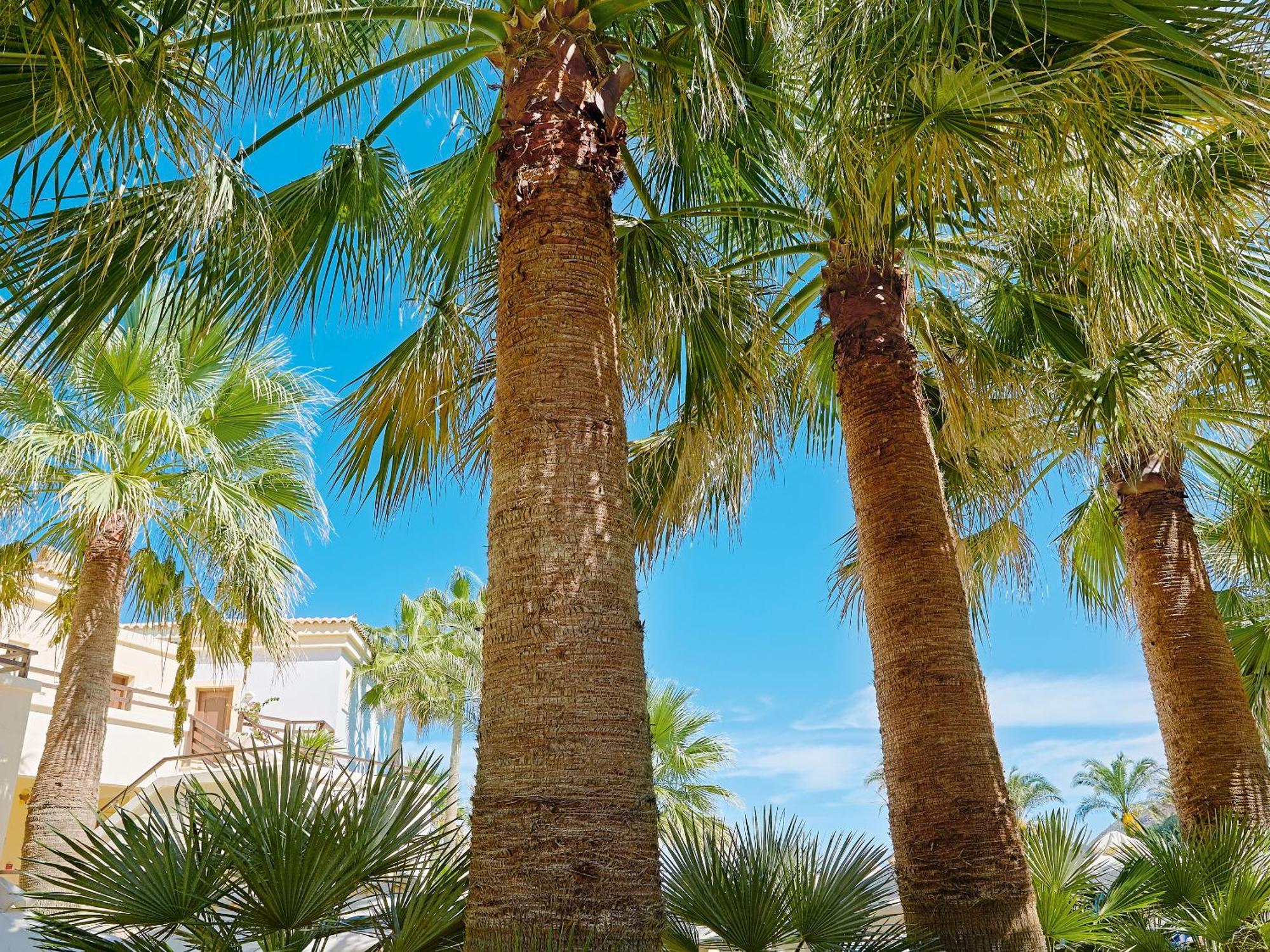 Grecotel Marine Palace & Aqua Park Réthimno Kültér fotó